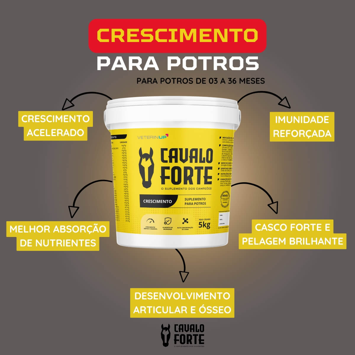 Suplemento Cavalo Forte Crescimento 3kg