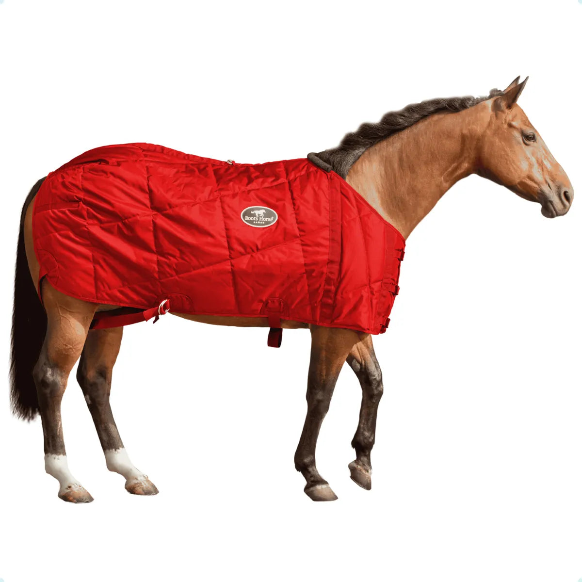 Capa De Frio Para Cavalo Forrada Inverno Boots Horse