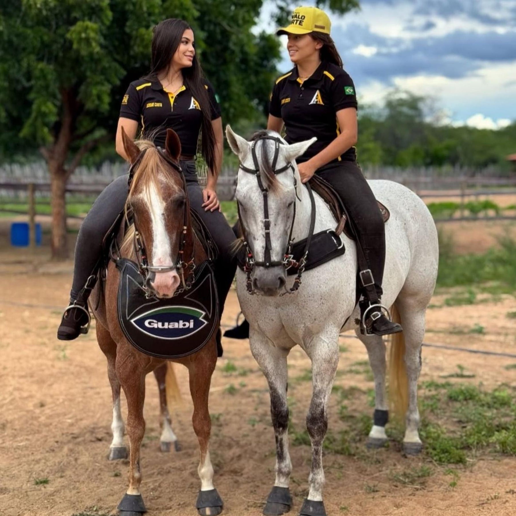 Kit Suplemento Cavalo Forte 2Kg Cavalo Forte Premium + 2Kg Crescimento 1kg cada